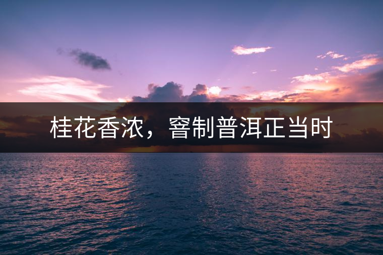 桂花香濃，窨制普洱正當(dāng)時(shí)