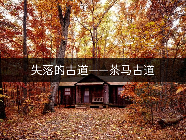 失落的古道——茶馬古道 失落的古道——茶馬古道