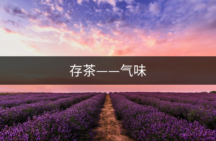 存茶——氣味