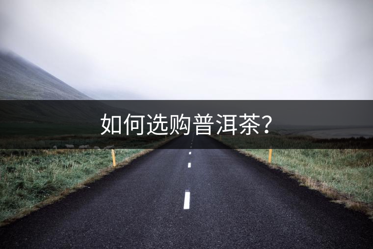 如何選購(gòu)普洱茶？
