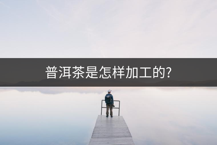 普洱茶是怎樣加工的? 普洱茶是怎樣加工的?