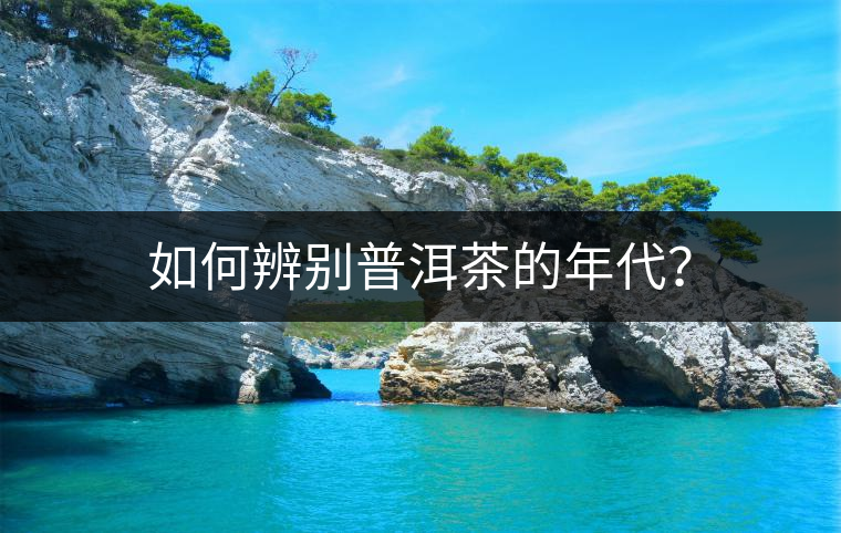 如何辨別普洱茶的年代？