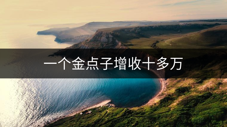 一個(gè)金點(diǎn)子增收十多萬 一個(gè)金點(diǎn)子增收十多萬