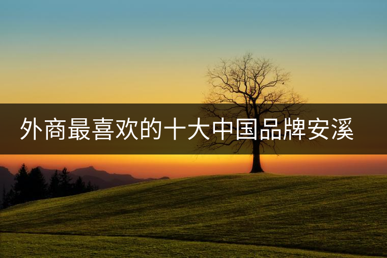 外商最喜歡的十大中國品牌安溪鐵觀音位居三甲 外商最喜歡的十大中國品牌安溪鐵觀音位居三甲