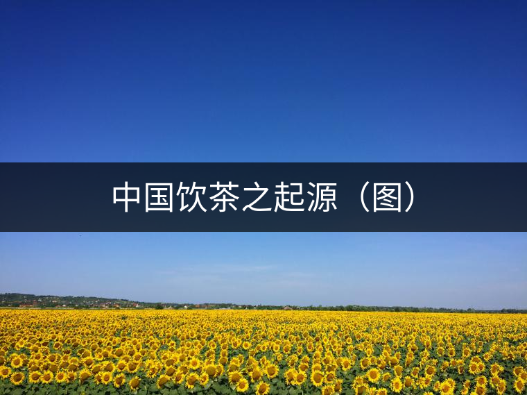 中國(guó)飲茶之起源(圖) 中國(guó)飲茶之起源(圖)