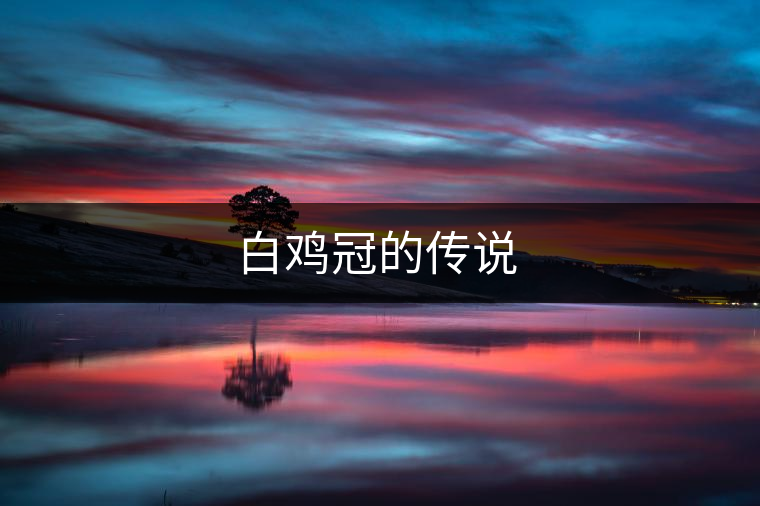 白雞冠的傳說 白雞冠的傳說