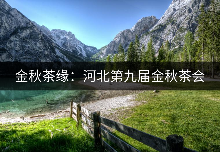 金秋茶緣:河北第九屆金秋茶會 金秋茶緣:河北第九屆金秋茶會