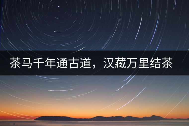 茶馬千年通古道，漢藏萬里結茶緣