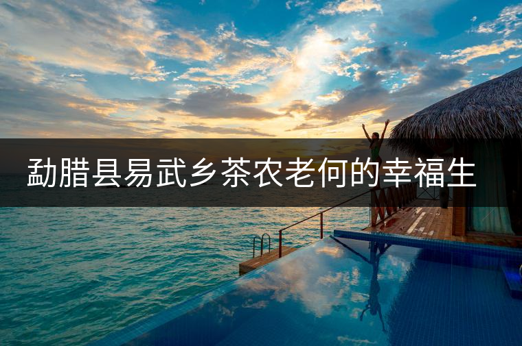 勐臘縣易武鄉(xiāng)茶農(nóng)老何的幸福生活 勐臘縣易武鄉(xiāng)茶農(nóng)老何的幸福生活
