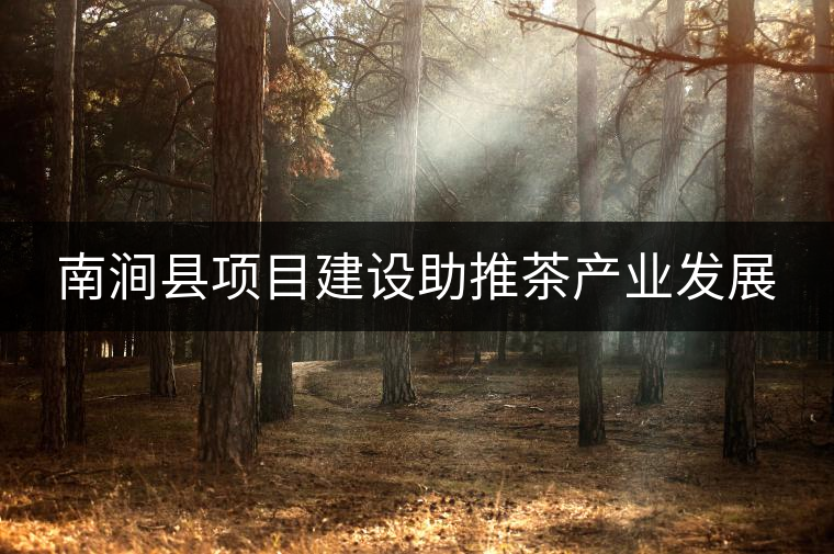南澗縣項目建設助推茶產業(yè)發(fā)展 南澗縣項目建設助推茶產業(yè)發(fā)展