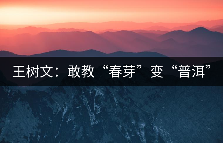 王樹(shù)文：敢教“春芽”變“普洱”