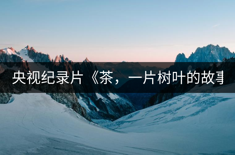 央視紀錄片《茶，一片樹葉的故事》紀錄片 昨晚開播