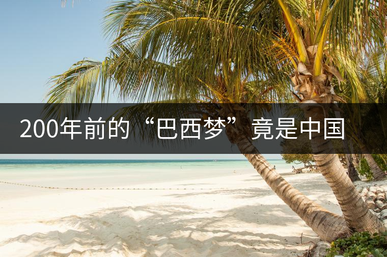 200年前的“巴西夢(mèng)”竟是中國(guó)茶 200年前的“巴西夢(mèng)”竟是中國(guó)茶