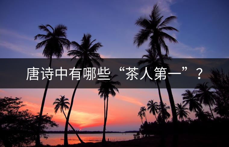 唐詩中有哪些“茶人第一”？