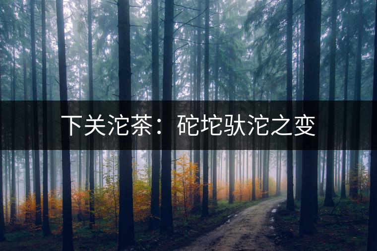 下關(guān)沱茶:砣坨馱沱之變 下關(guān)沱茶:砣坨馱沱之變