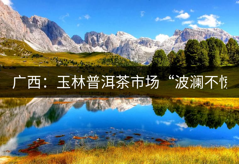 廣西:玉林普洱茶市場“波瀾不驚” 廣西:玉林普洱茶市場“波瀾不驚”