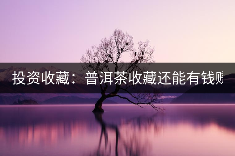 投資收藏:普洱茶收藏還能有錢賺嗎? 投資收藏:普洱茶收藏還能有錢賺嗎?