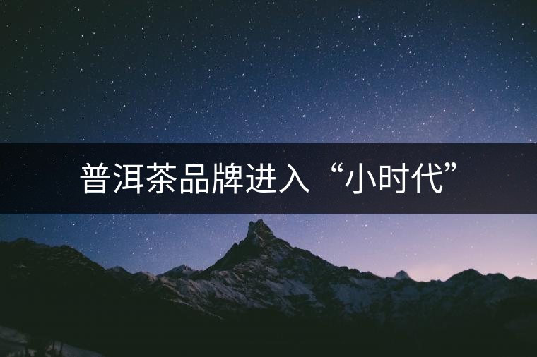 普洱茶品牌進入“小時代” 普洱茶品牌進入“小時代”