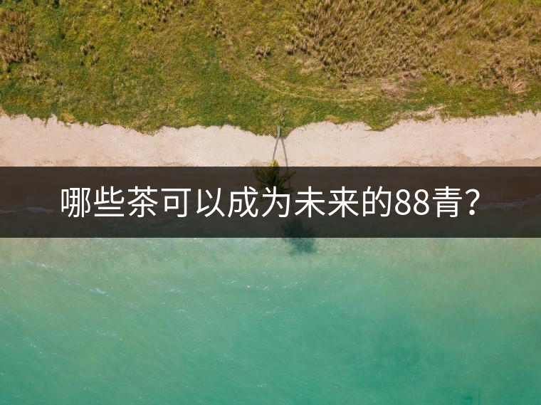 哪些茶可以成為未來的88青？