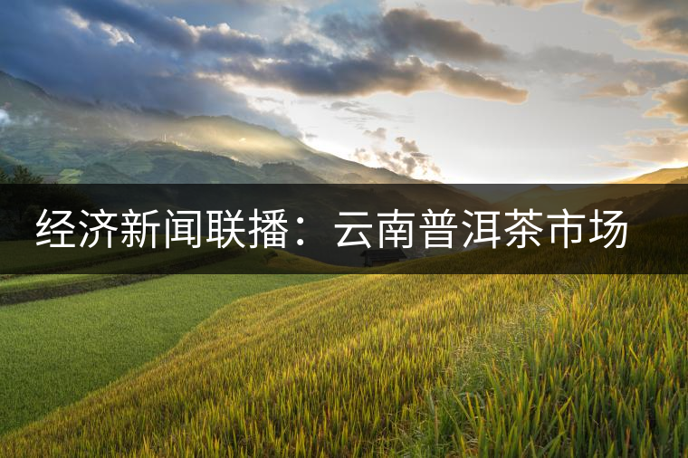 經濟新聞聯播：云南普洱茶市場調查