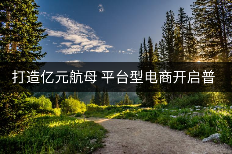 打造億元航母 平臺型電商開啟普洱茶大消費時代 打造億元航母 平臺型電商開啟普洱茶大消費時代