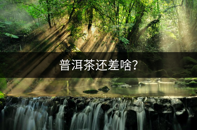 普洱茶還差啥？