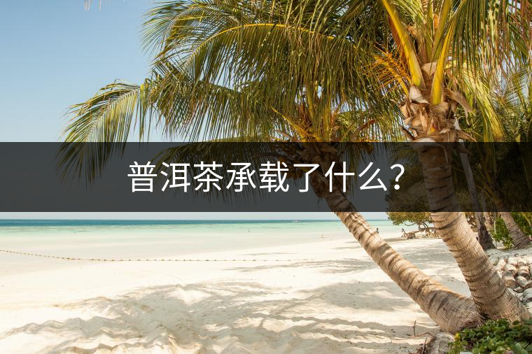 普洱茶承載了什么？