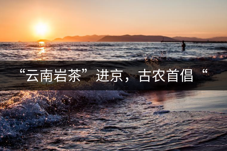 “云南巖茶”進(jìn)京，古農(nóng)首倡“名茶+名企”戰(zhàn)略