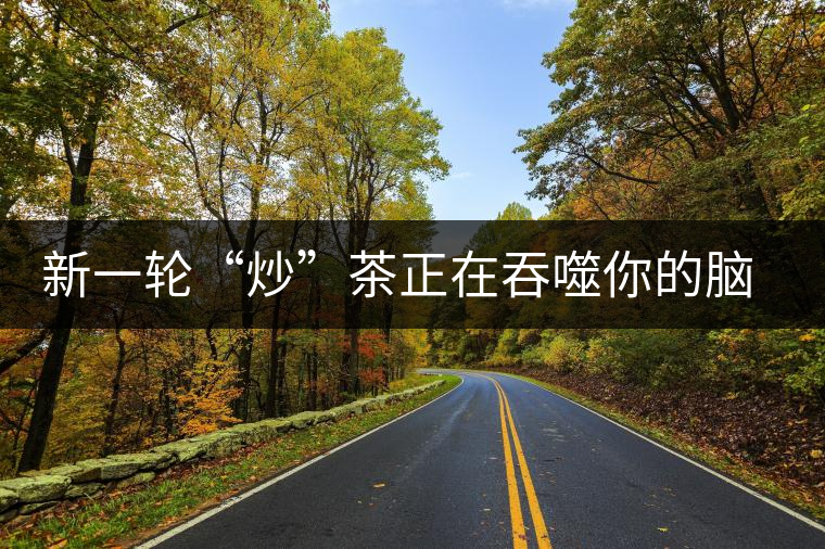 新一輪“炒”茶正在吞噬你的腦子，茶葉收藏不宜提倡