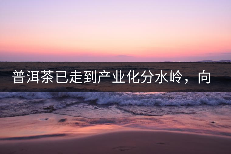 普洱茶已走到產(chǎn)業(yè)化分水嶺，向左還是向右？