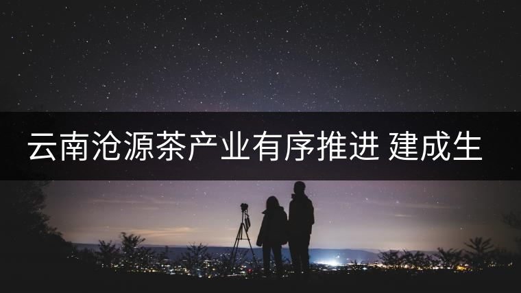 云南滄源茶產(chǎn)業(yè)有序推進(jìn) 建成生態(tài)茶園近15萬(wàn)畝 云南滄源茶產(chǎn)業(yè)有序推進(jìn) 建成生態(tài)茶園近15萬(wàn)畝