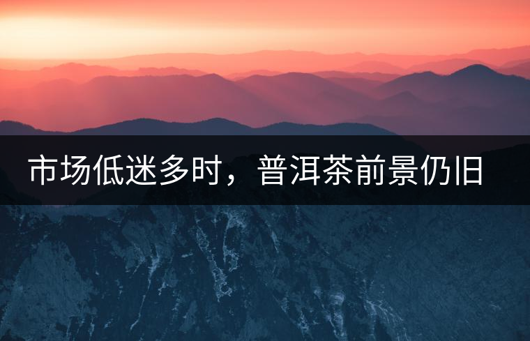 市場低迷多時，普洱茶前景仍舊被大佬們看好