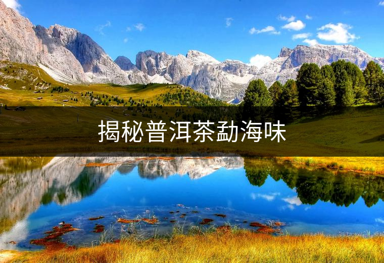 揭秘普洱茶勐海味 揭秘普洱茶勐海味