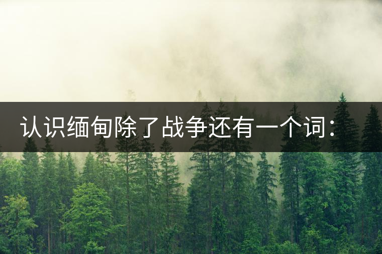 認(rèn)識緬甸除了戰(zhàn)爭還有一個(gè)詞：茶