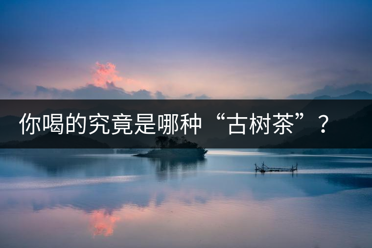 你喝的究竟是哪種“古樹茶”？（收茶必備知識(shí)）