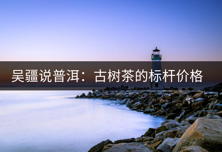 吳疆說普洱：古樹茶的標桿價格在哪里？