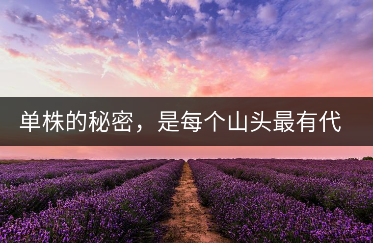 單株的秘密，是每個(gè)山頭最有代表性的味道？