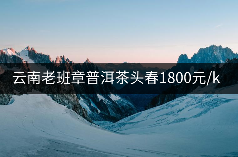 云南老班章普洱茶頭春1800元/kg