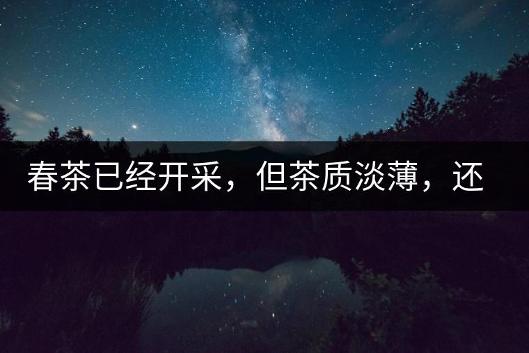 春茶已經(jīng)開(kāi)采，但茶質(zhì)淡薄，還需一兩周