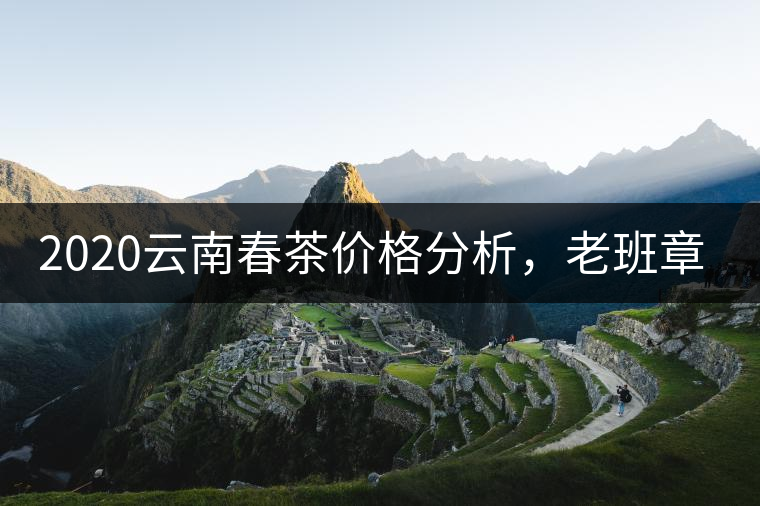 2020云南春茶價格分析，老班章依然將獨(dú)占鰲頭？