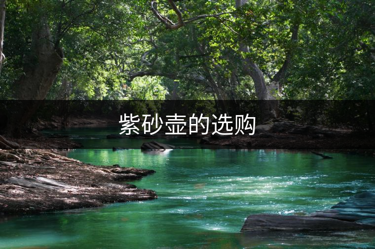 紫砂壺的選購(gòu) 紫砂壺的選購(gòu)