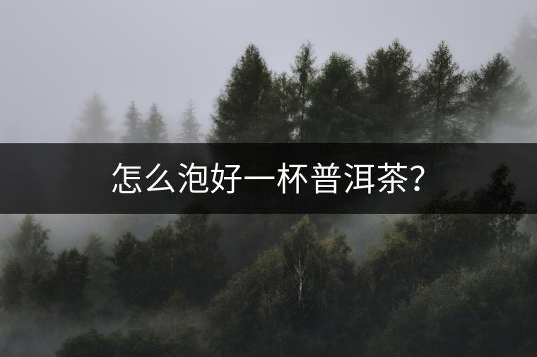 怎么泡好一杯普洱茶? 怎么泡好一杯普洱茶?