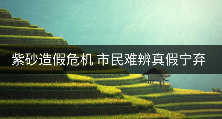 紫砂造假危機(jī) 市民難辨真假寧棄勿用 紫砂造假危機(jī) 市民難辨真假寧棄勿用