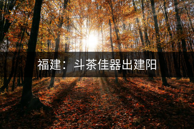 福建:斗茶佳器出建陽 福建:斗茶佳器出建陽