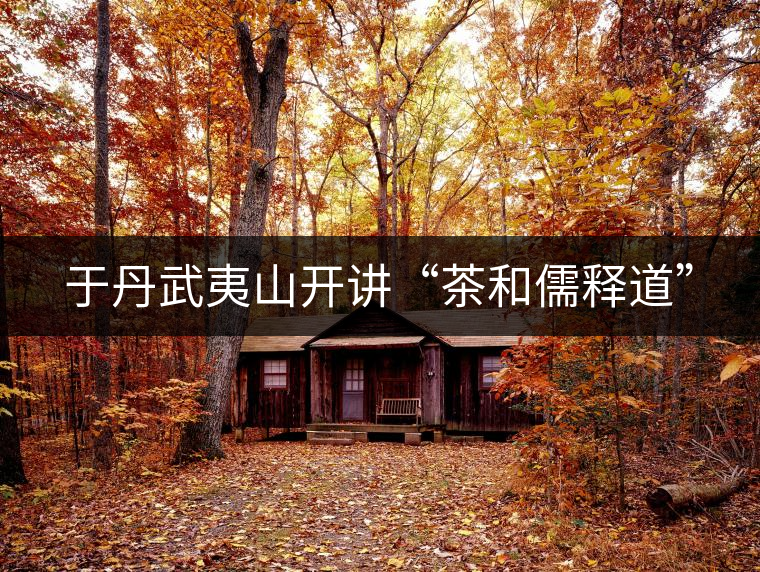 于丹武夷山開(kāi)講“茶和儒釋道”