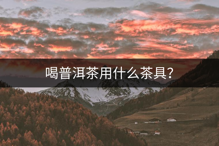 喝普洱茶用什么茶具？