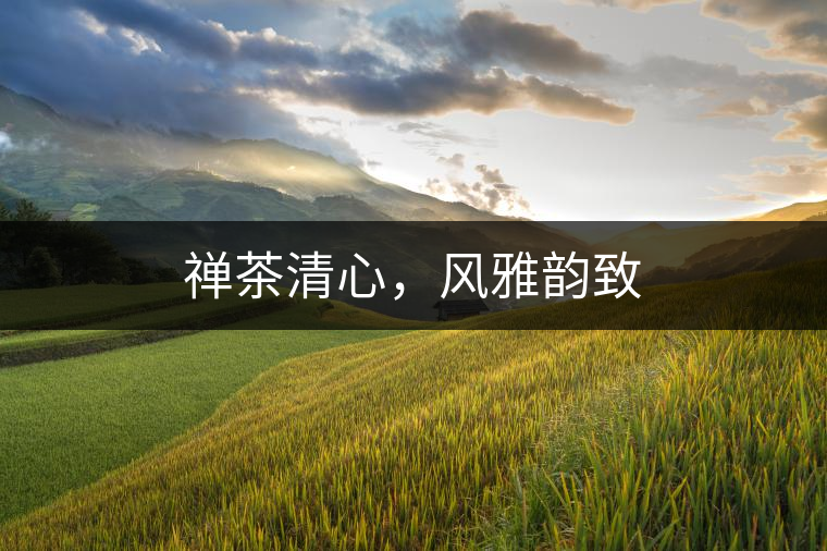 禪茶清心，風(fēng)雅韻致