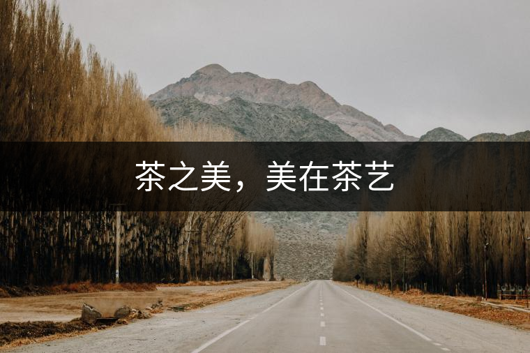 茶之美，美在茶藝