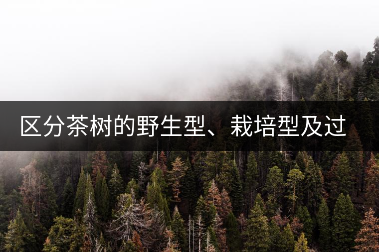 區(qū)分茶樹的野生型、栽培型及過渡型
