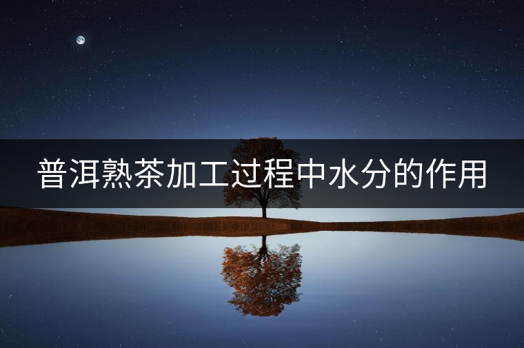 普洱熟茶加工過(guò)程中水分的作用